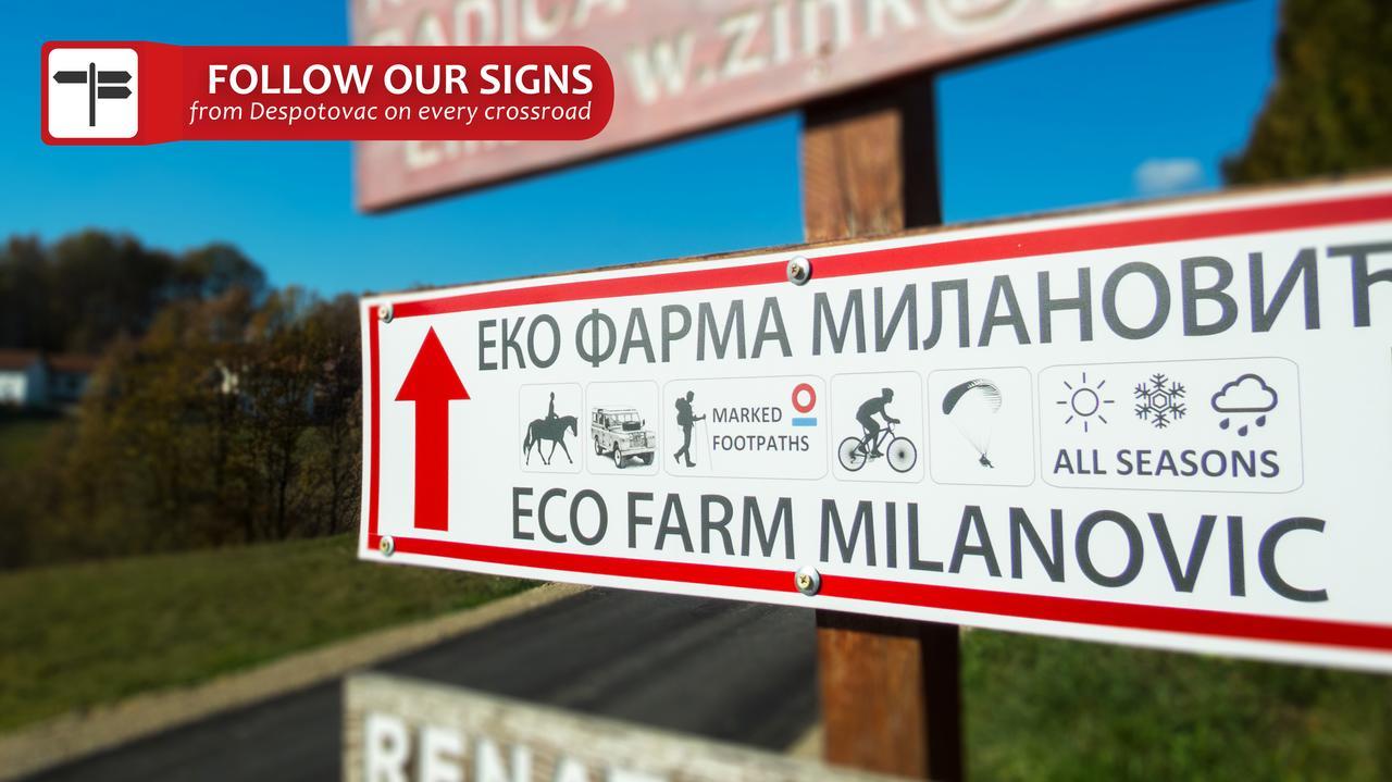 Gasthaus Eco Farm Milanovic Despotovac Exterior foto