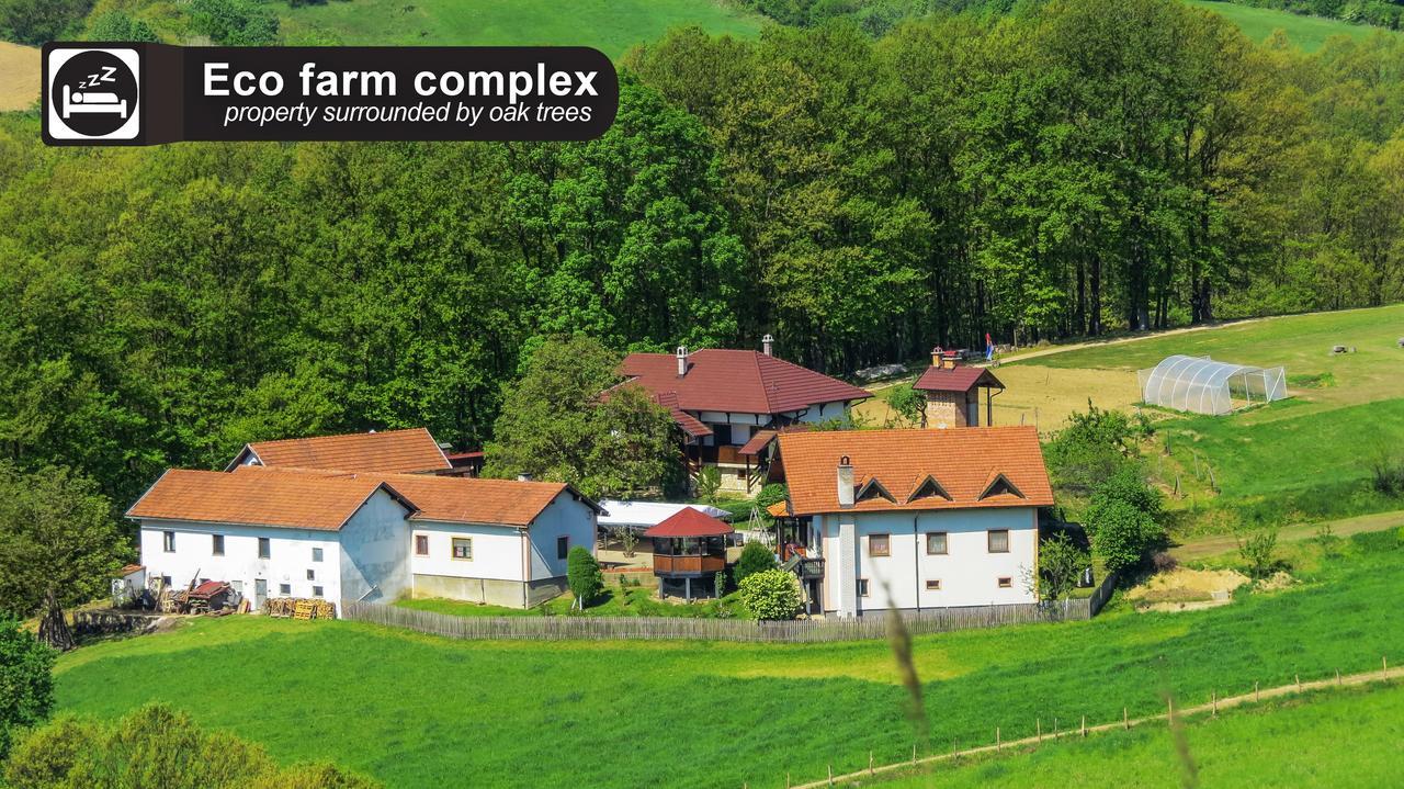 Gasthaus Eco Farm Milanovic Despotovac Exterior foto