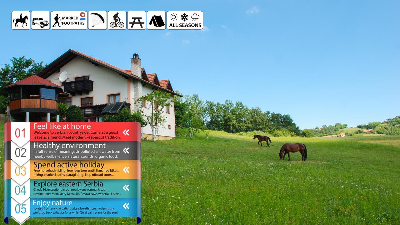 Gasthaus Eco Farm Milanovic Despotovac Exterior foto